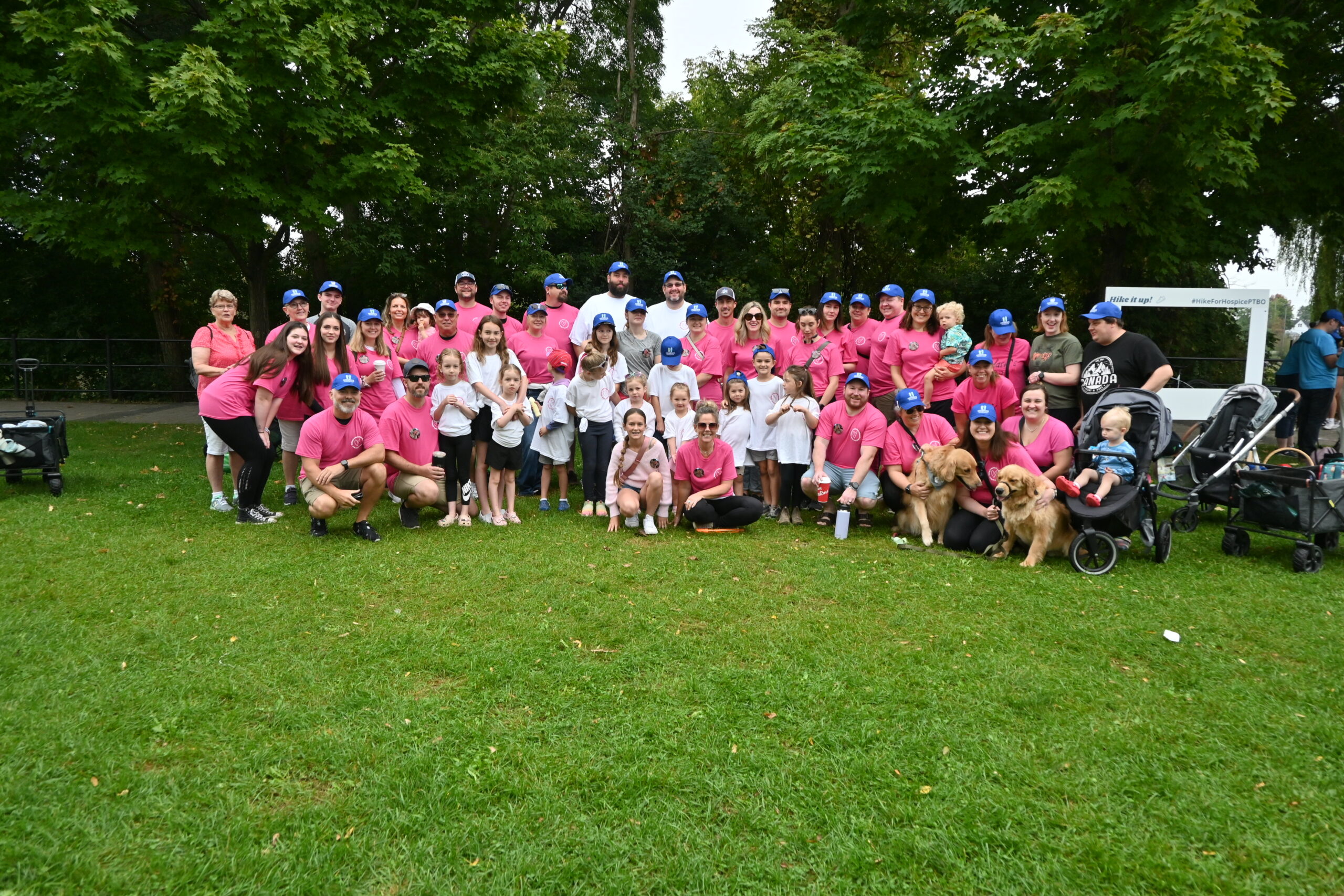 DSC_6383 star template for stars for a dark night event